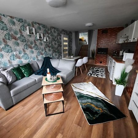 Apartament Zielony Liść 2 Świeradów-Zdrój Zewnętrze zdjęcie